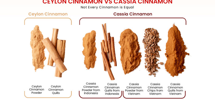 THE DIFFERENCE BETWEEN CASSIA AND TRUE CEYLON CINNAMON