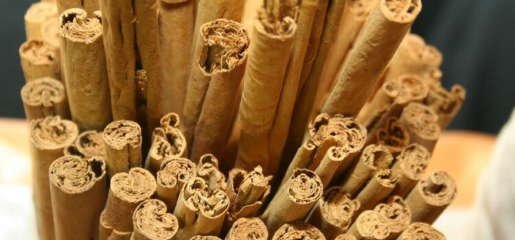 CINNAMON ESSENTIAL OIL COULD DISRUPT BACTERIAL BIOFILMS AND MAKE INFECTIONS EASIER TO TREAT